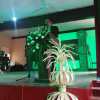 Divisional Literary Festival - 2019
